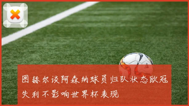 图赫尔谈阿森纳球员归队状态欧冠失利不影响世界杯表现